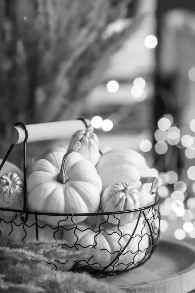 Panier grillage à Martigné-Ferchaud