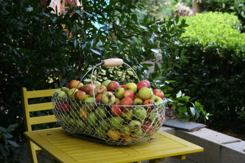 Le panier d'antan revisité