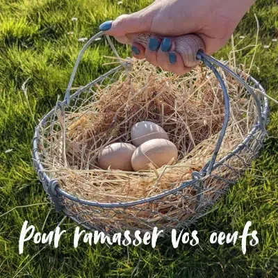 Panier à œufs à Martigné-Ferchaud
