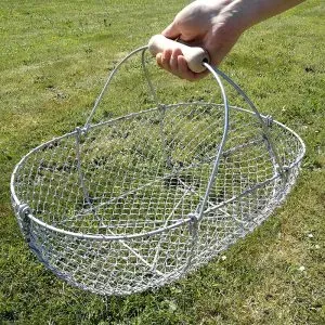 Panier à légumes à Martigné-Ferchaud